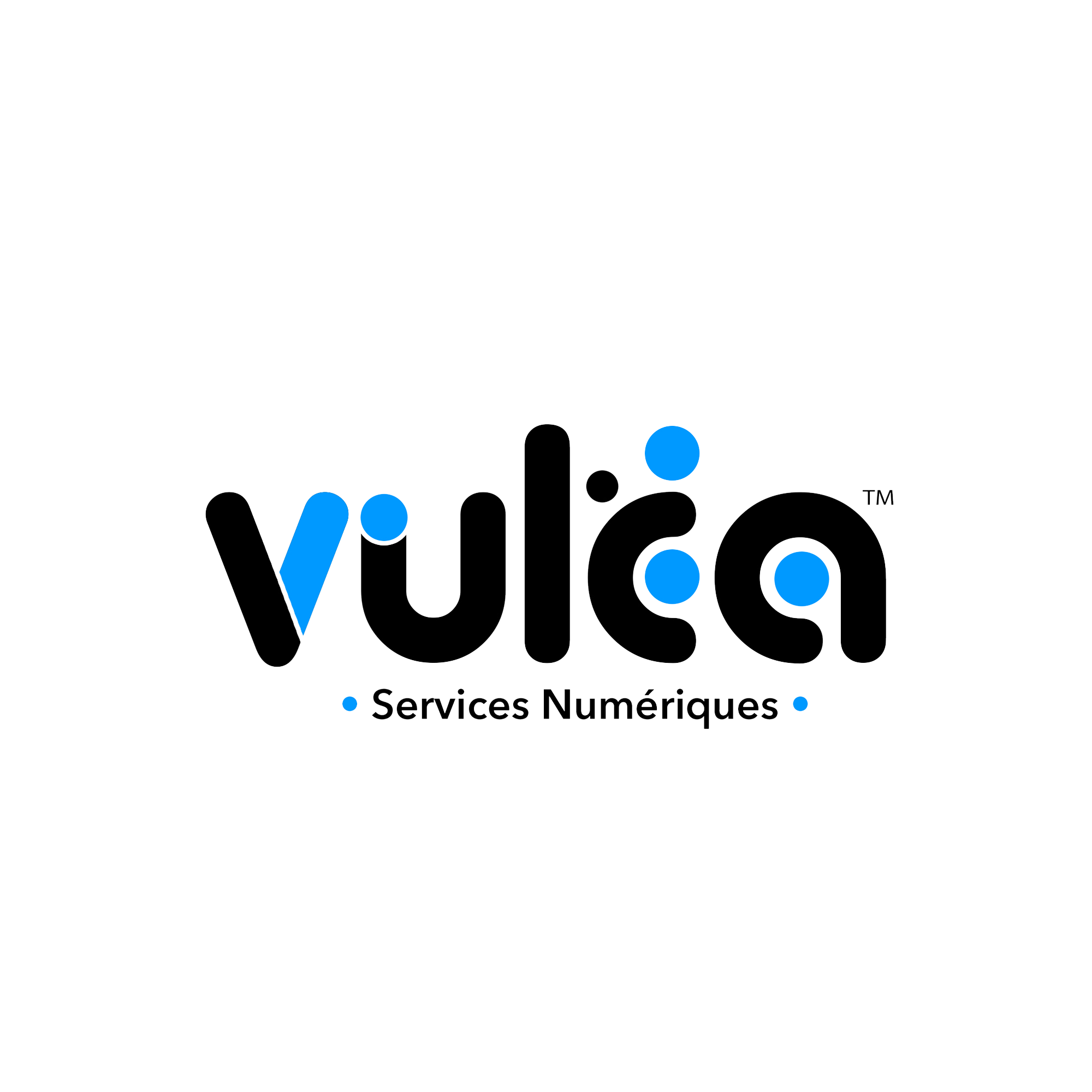 Logo Vulca Services Numériques